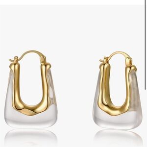 NWT hoop earrings see through